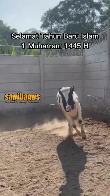 Selamat-Tahun-Baru-Islam---1-Muharram-1445-H